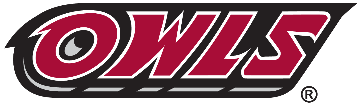 Temple Owls 1996-Pres Wordmark Logo iron on transfers for T-shirts